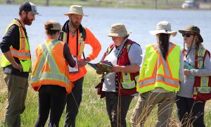 StrongerBC future skills grant returns, opening additional options to working professionals